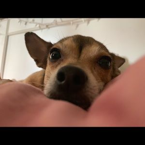 Meet your Posher, Kikierra